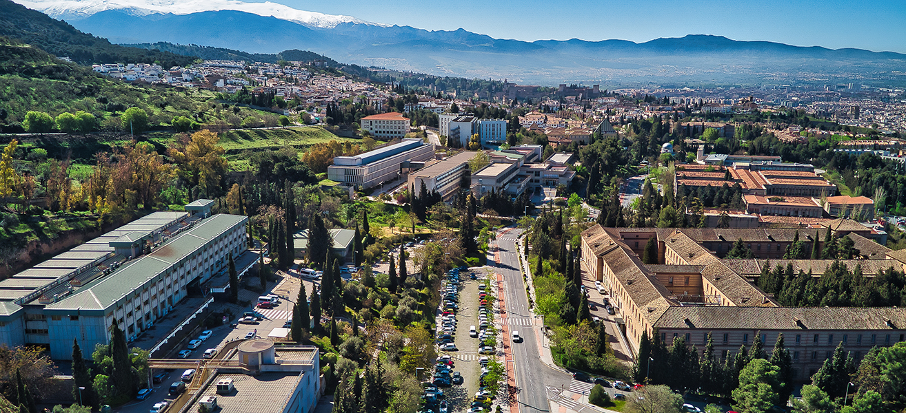 Campus of Cartuja